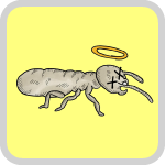 シロアリ（白蟻）