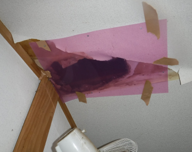 糞の重みで抜け落ちる事も