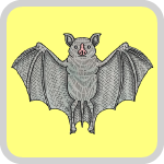 コウモリ（蝙蝠）