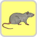 ねずみ（鼠）